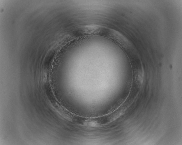 X0000062930602200601131513