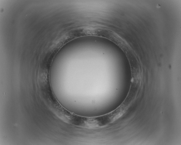 X0000062930603200601131513