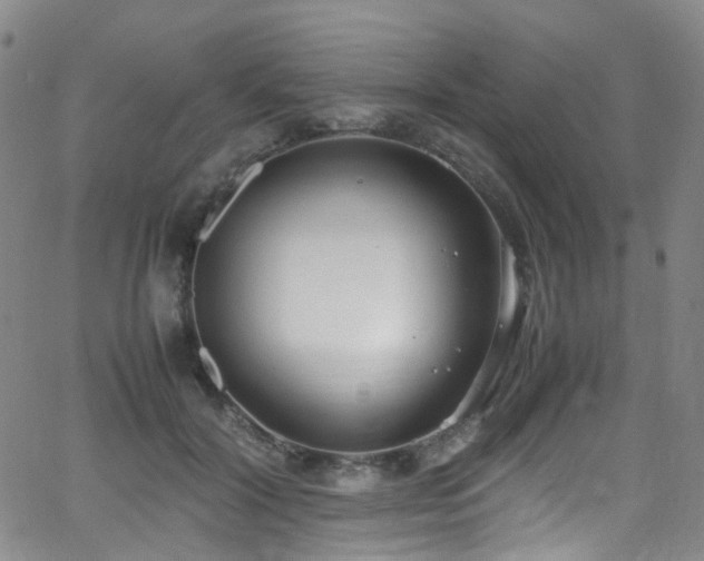 X0000062930604200601131513