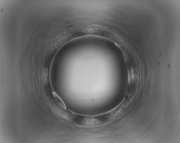 X0000062930605200601131513