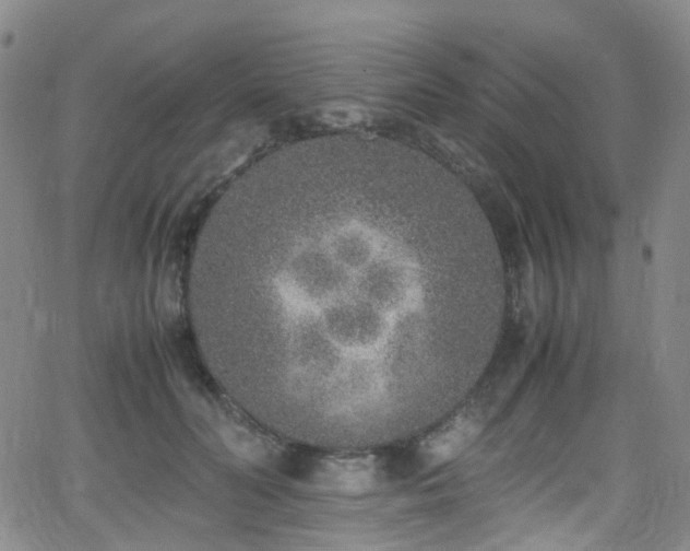 X0000062930606200601131513