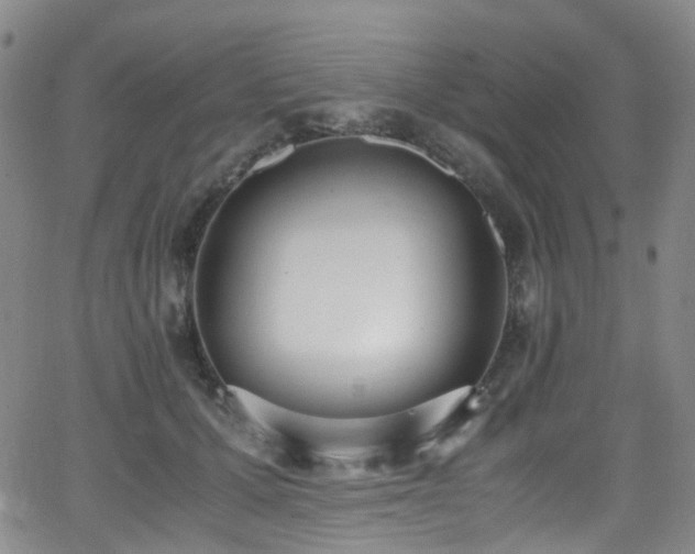 X0000062930607200601131513