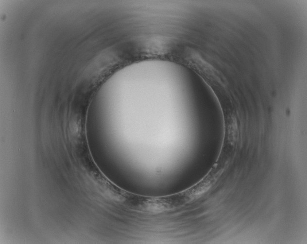 X0000062930608200601131513