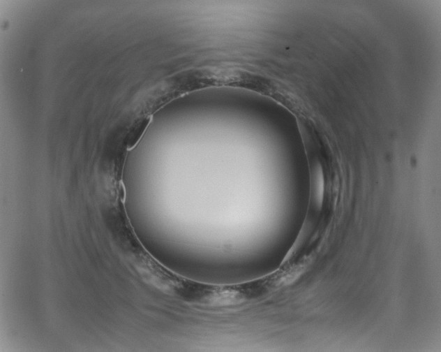 X0000062930609200601131513