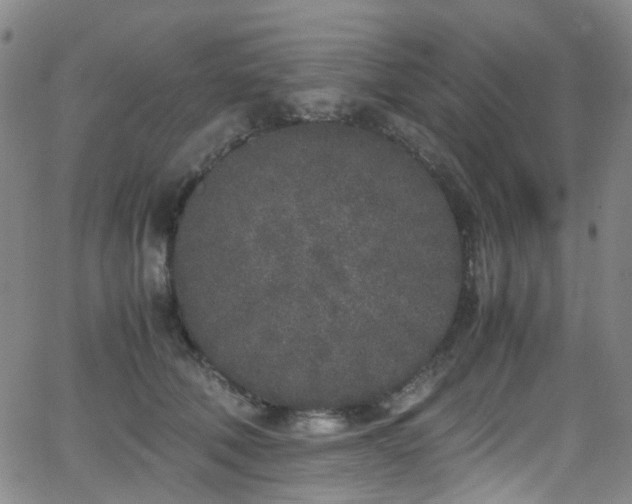 X0000062930610200601131513