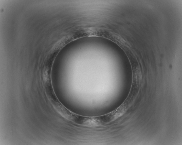 X0000062930611200601131513