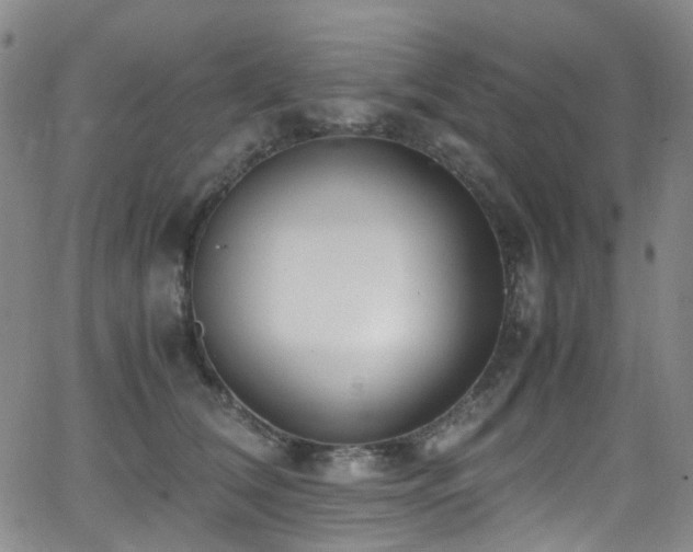 X0000062930612200601131513