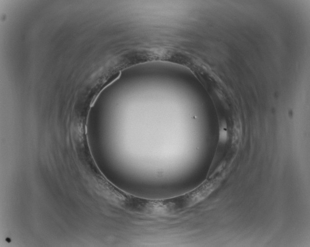 X0000062930613200601131513