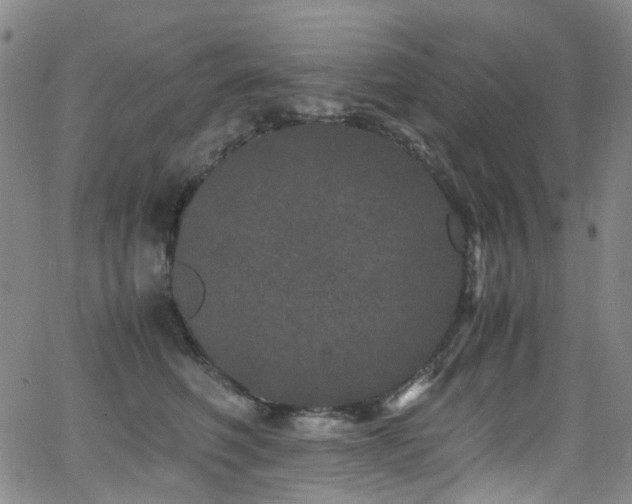 X0000062930614200601131513