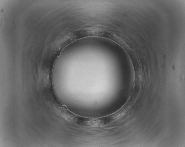 X0000062930615200601131513