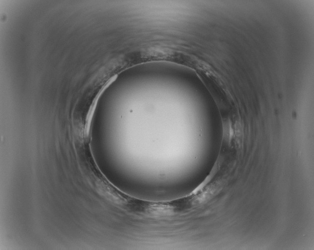 X0000062930617200601131513