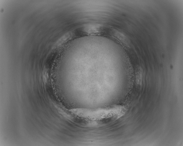 X0000062930618200601131513