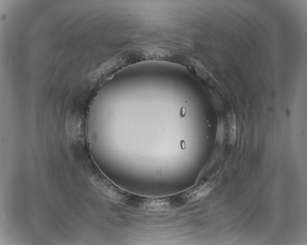 X0000062930619200601131513