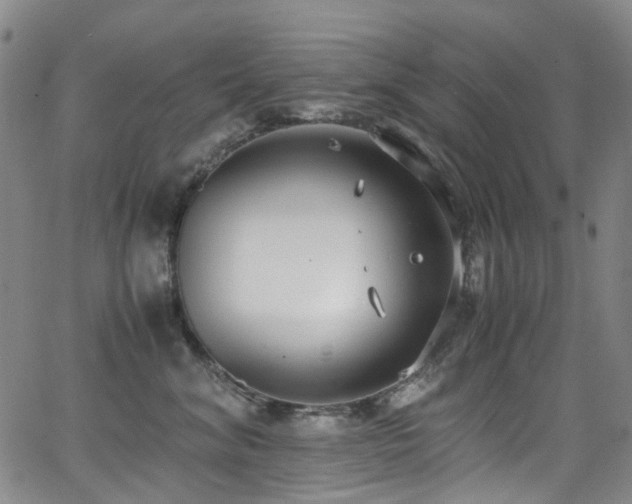 X0000062930620200601131513