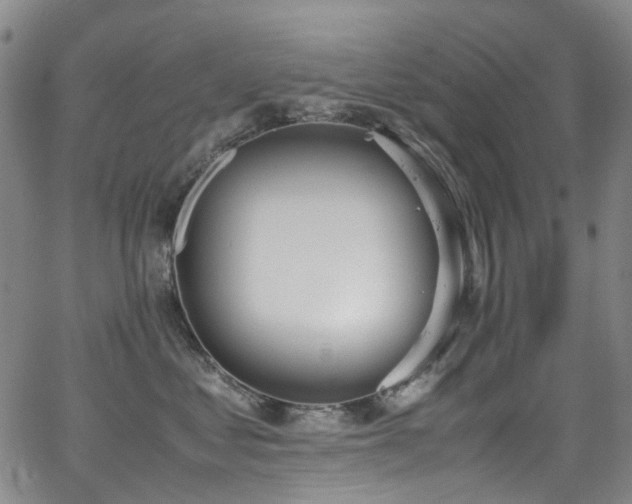 X0000062930621200601131513