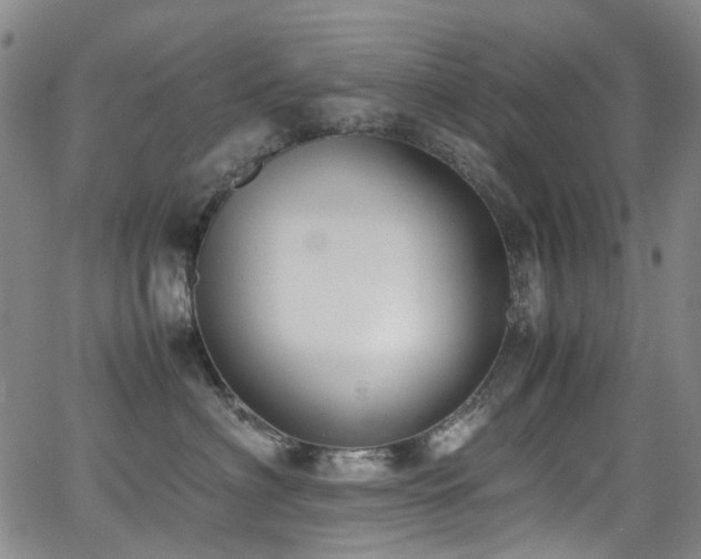 X0000062930622200601131513