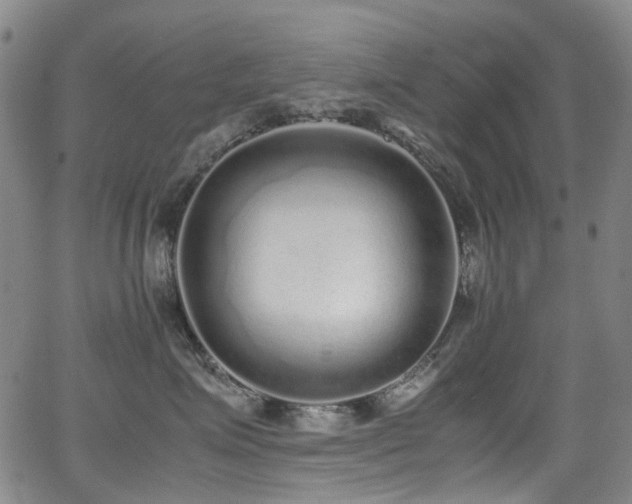 X0000062930623200601131513