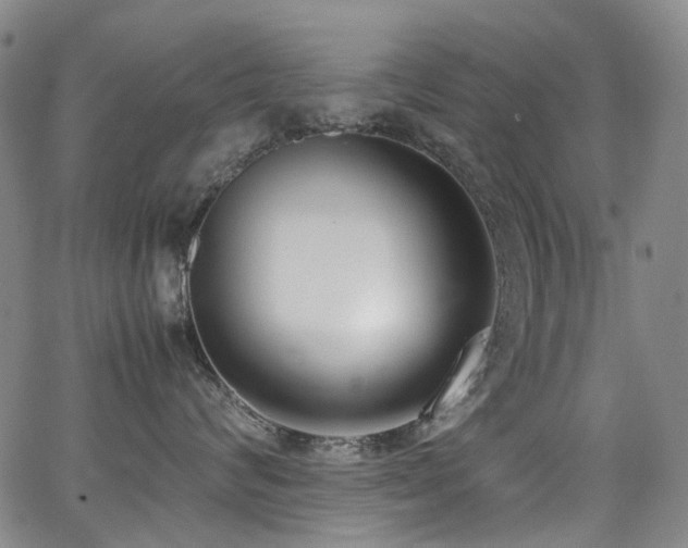 X0000062930624200601131513