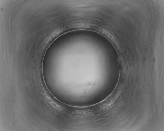 X0000062930625200601131512