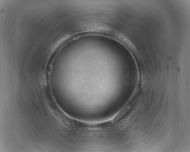 X0000062930628200601131512