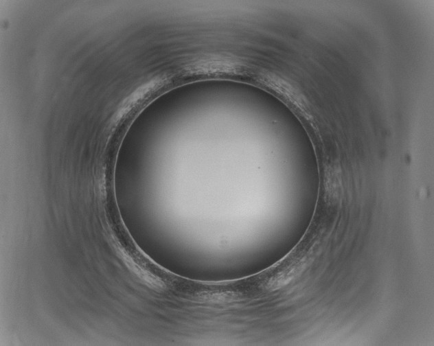 X0000062930629200601131512