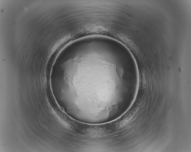 X0000062930630200601131512