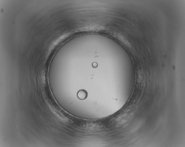 X0000062930632200601131512