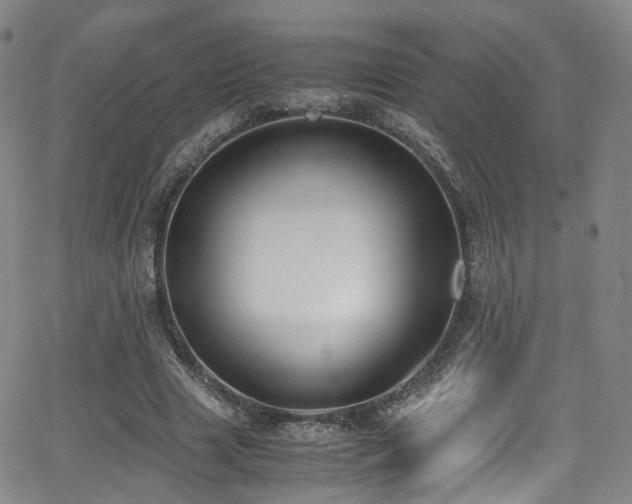 X0000062930633200601131512