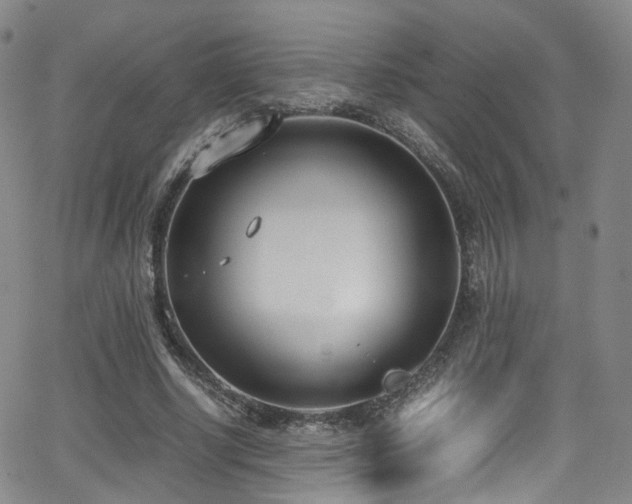 X0000062930634200601131512