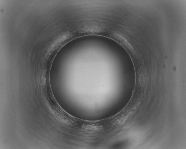 X0000062930635200601131512