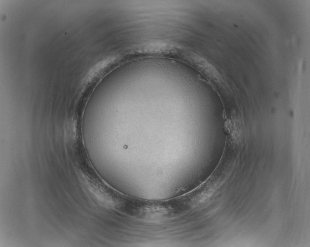 X0000062930636200601131512