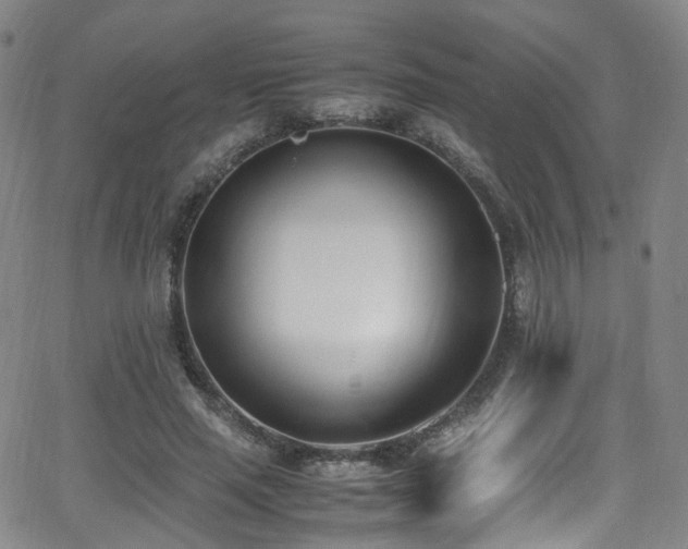 X0000062930637200601131512