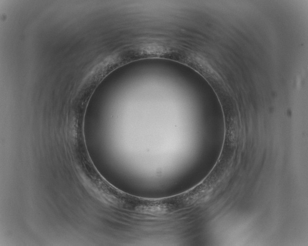 X0000062930639200601131512