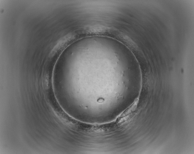 X0000062930640200601131512