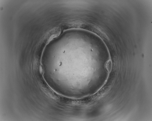 X0000062930641200601131512