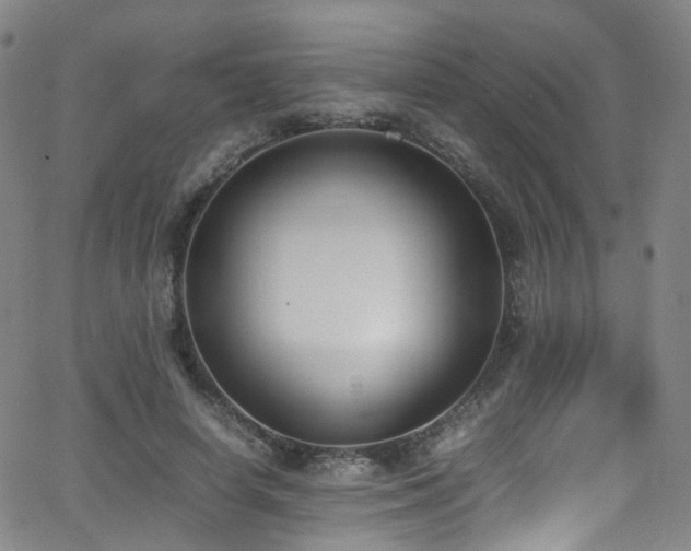 X0000062930642200601131512