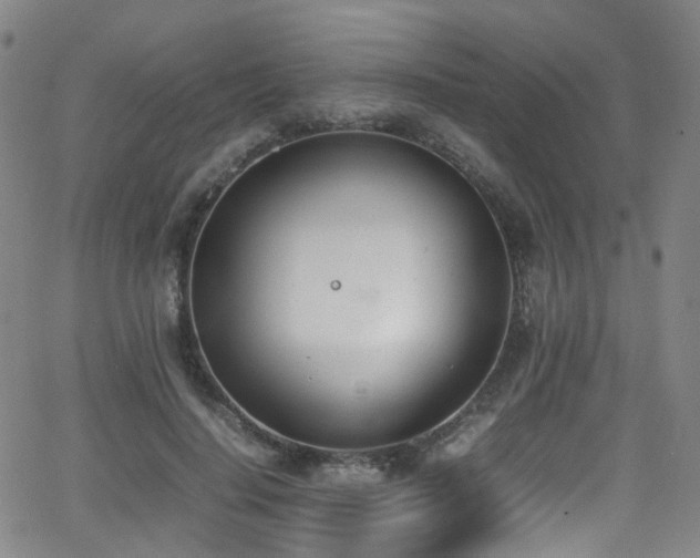 X0000062930644200601131512