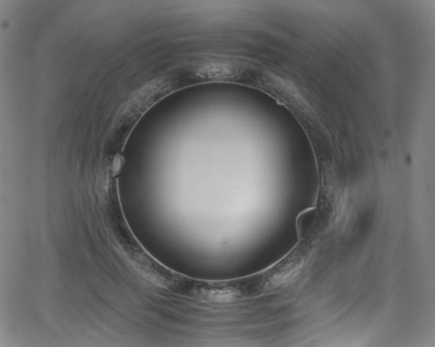 X0000062930645200601131512