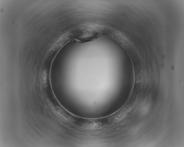 X0000062930646200601131512