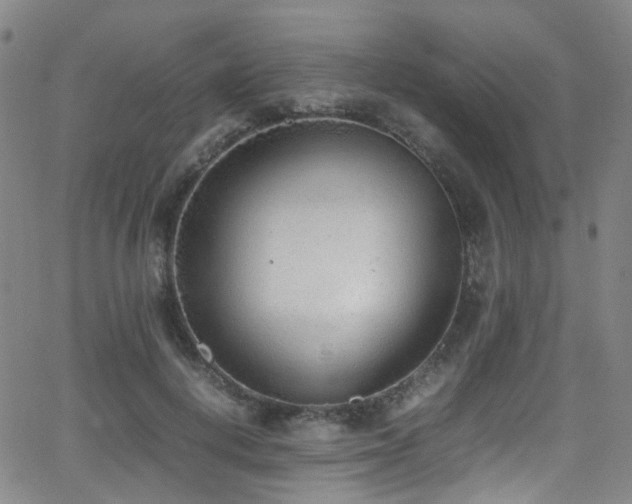 X0000062930648200601131512