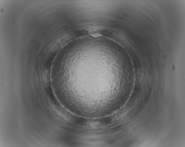 X0000062930650200601131512