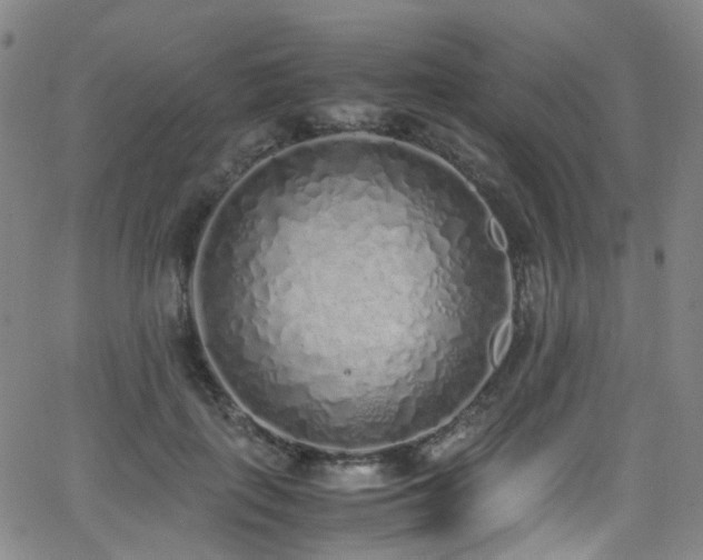 X0000062930651200601131512