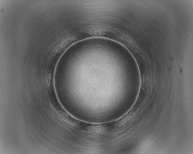 X0000062930652200601131512