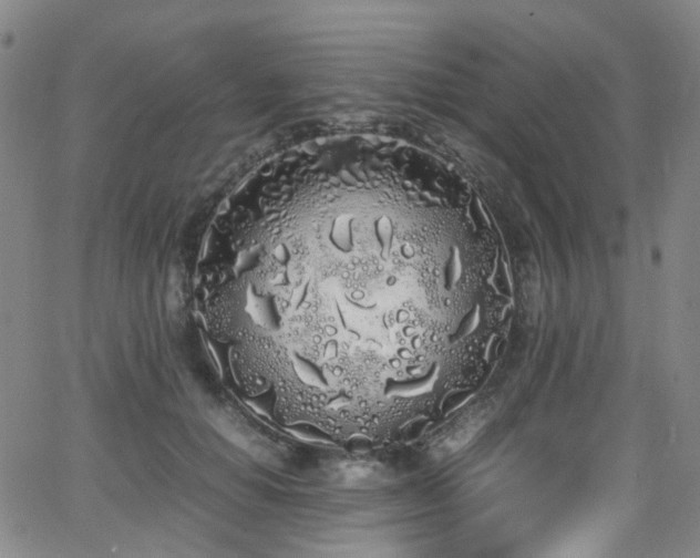 X0000062930654200601131512