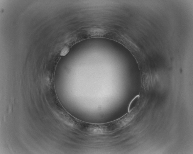 X0000062930655200601131512