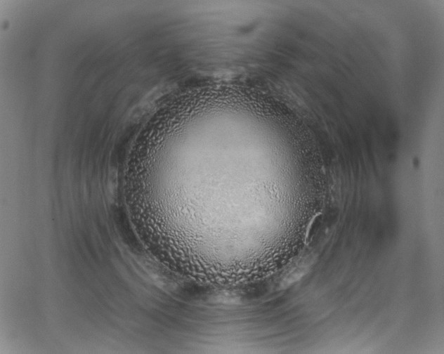 X0000062930656200601131512