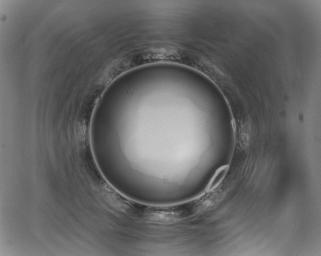 X0000062930657200601131512