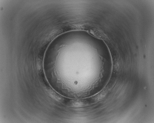 X0000062930658200601131512