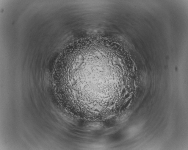 X0000062930659200601131512