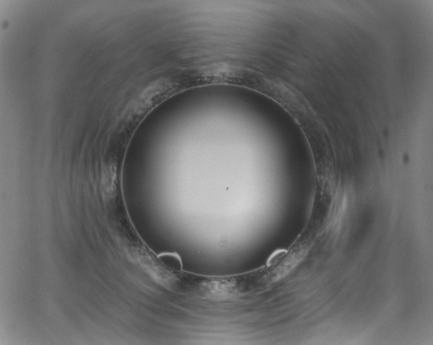 X0000062930660200601131512